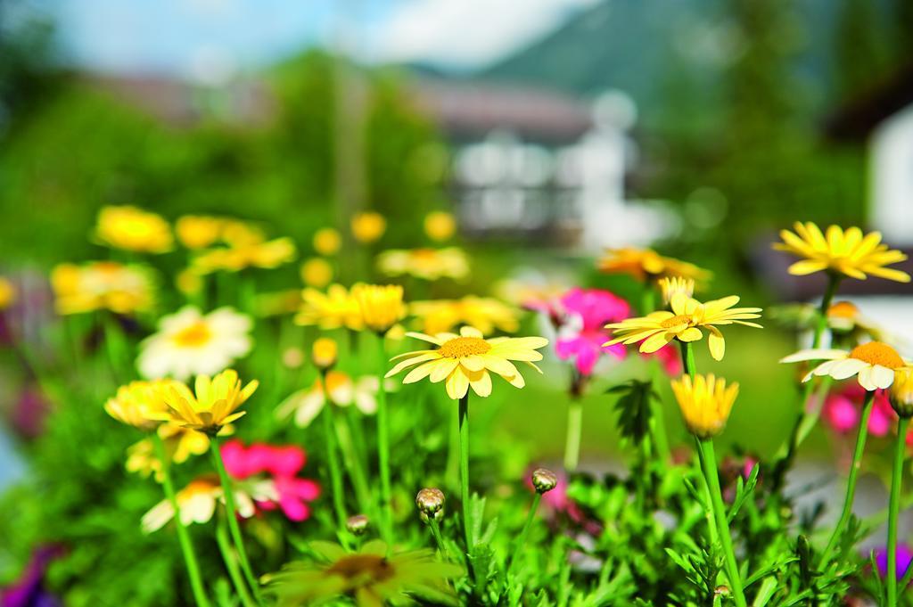 Parkhotel Wallgau 4 Sterne Superior Alpenjuwel Mit Spa Genuss, Golf & Wellness In Der Karwendel-Region Tradition Trifft Eleganz Im Stilvollen Rueckzugsort Luaran gambar